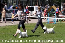 DSC05380.webp