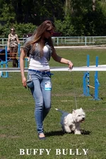 DSC05384.webp