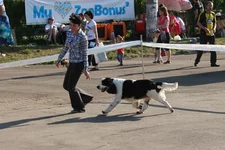 img_9254.webp
