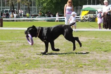 img_8976.webp