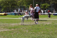 img_8986.webp