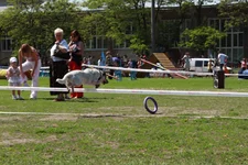 img_9000.webp