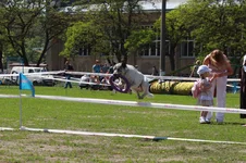 img_9002.webp
