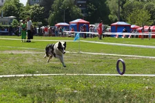 img_9023.webp