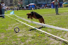 img_9112.webp