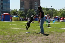 img_9117.webp