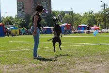 img_9129.webp