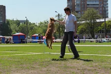 img_9185.webp