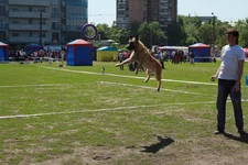 img_9213.webp