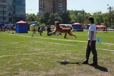 img_9217.webp