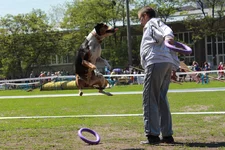 img_9222.webp