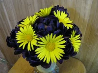 IMG_3097.webp