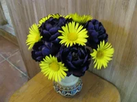 IMG_3098.webp