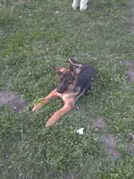 k8cmrMgbcYo.webp