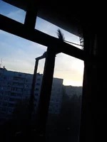 DSC_6988.webp