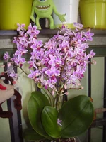 P5100051.jpg