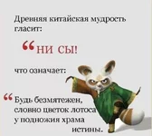 3496861.webp