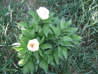 IMG_3127.webp