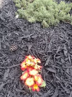 20130430_160921.webp