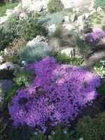 20130505_161341.webp