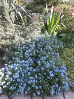 20130505_161421.webp