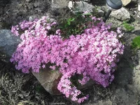 20130505_161520.webp