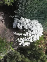 20130505_161550.webp
