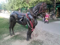 SNC00782.webp