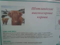 SNC00786.jpg