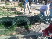 SNC00774.webp