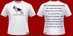 nootvfut2.webp