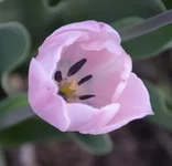  9.webp