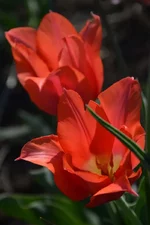  11.webp