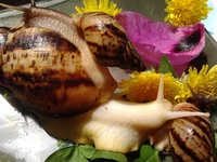 2013-05-15 12.14.04.webp