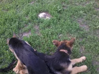 2013-05-15 18.10.22.webp