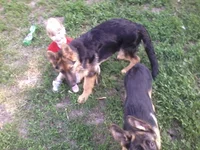2013-05-15 18.10.34.webp