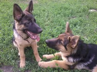 2013-05-15 18.11.08.webp