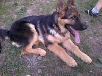 2013-05-15 18.17.59.webp