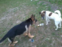 2013-05-15 18.29.05.webp