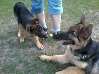 2013-05-15 18.53.32.webp