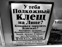 3uryK95Lgz8.webp