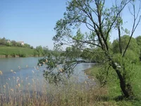 IMG_9454.jpg