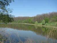 IMG_9462.jpg