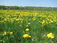 IMG_9489.jpg