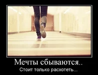 102.webp