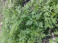 2012-05-19 12.33.39.webp