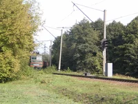 P9090113_1.webp