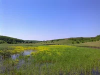 0265.webp