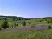 0279.webp