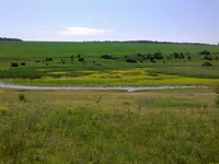 0280.webp